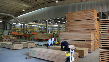 加工された木材は、種類ごとに梱包されます。